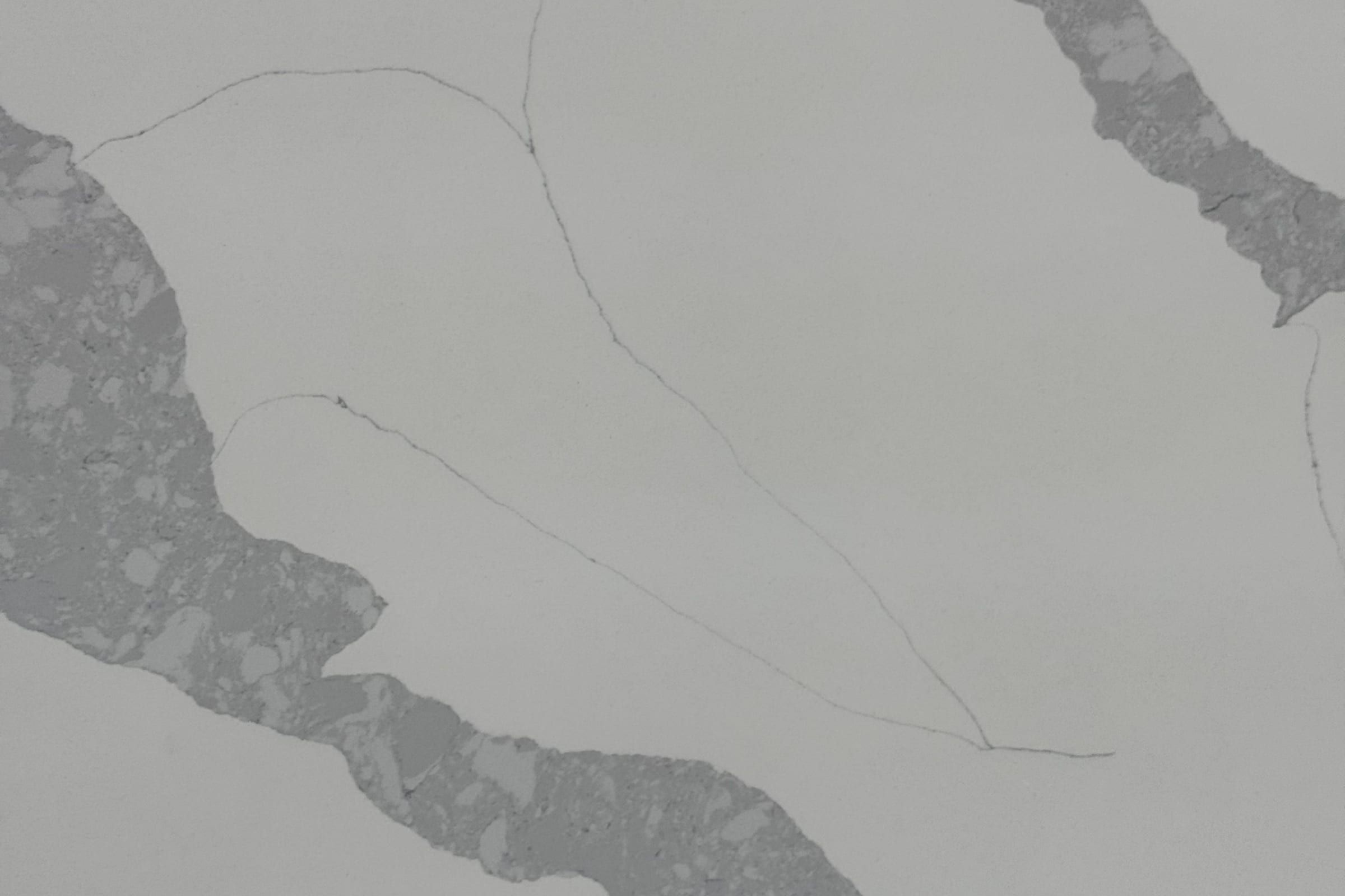 Pale gray slab with wide darker gray veins of embedded chips and thin dark hairlines crossing it