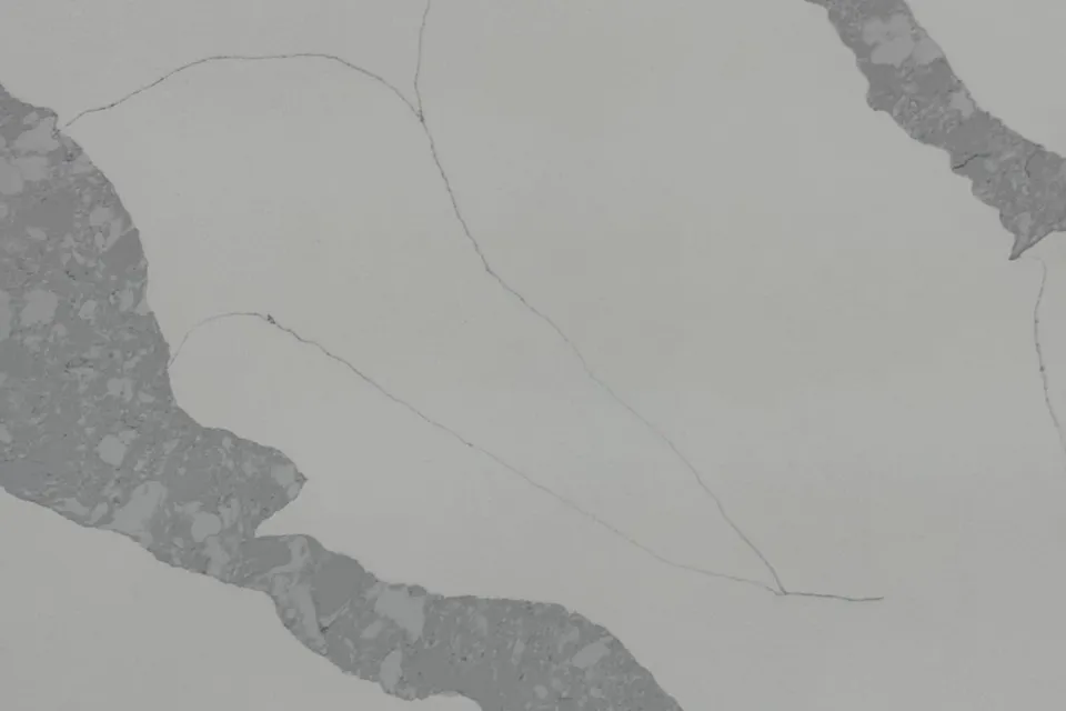 Pale gray slab with wide darker gray veins of embedded chips and thin dark hairlines crossing it