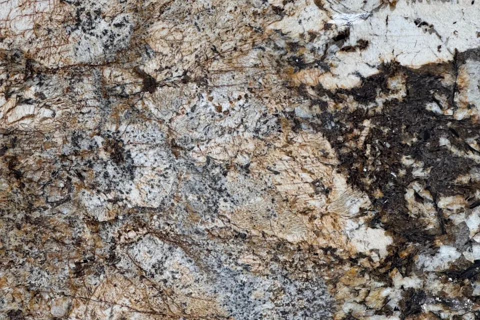Polished granite with coarse cream, gold and dark brown crystals and scattered gray patches