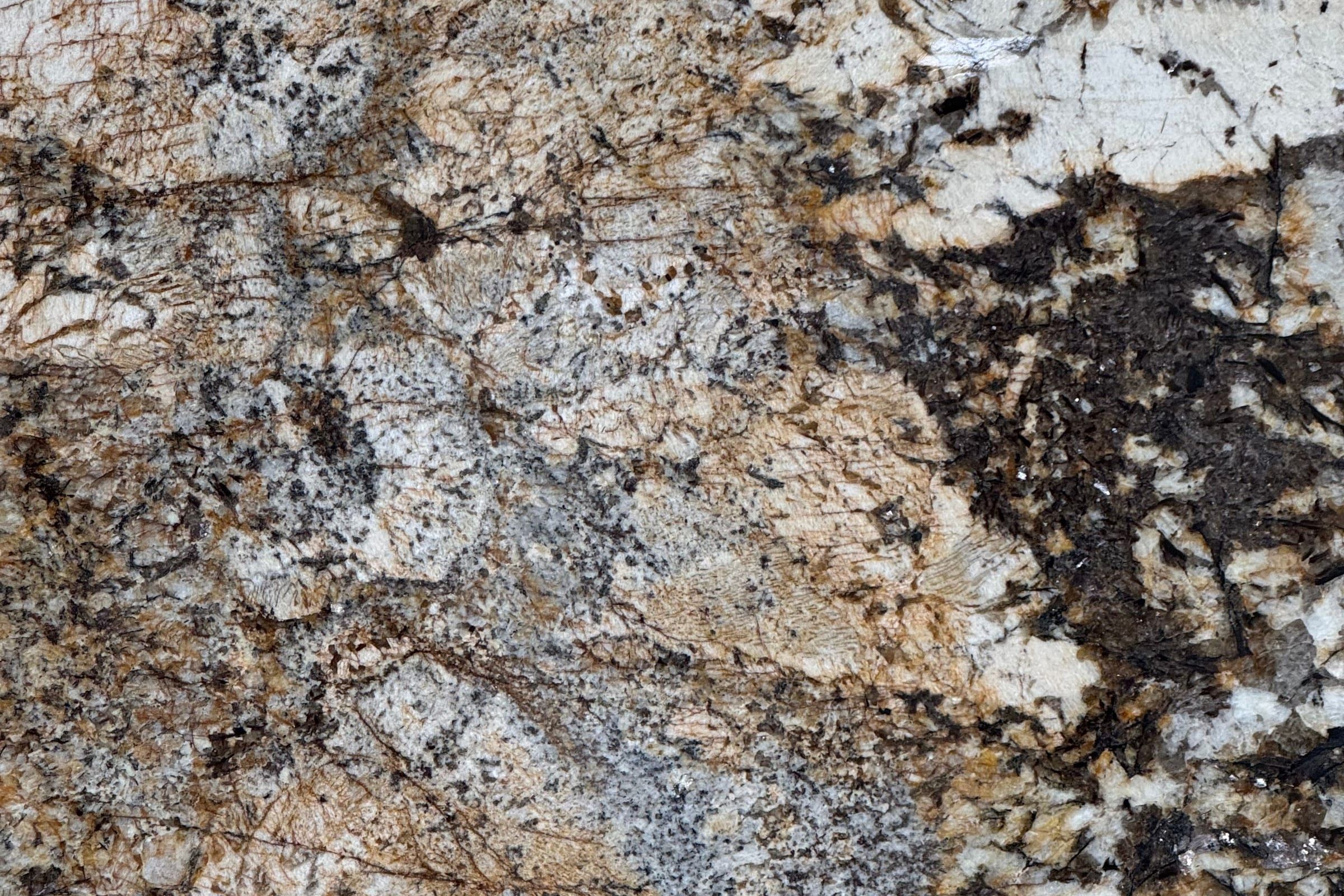 Polished granite with coarse cream, gold and dark brown crystals and scattered gray patches