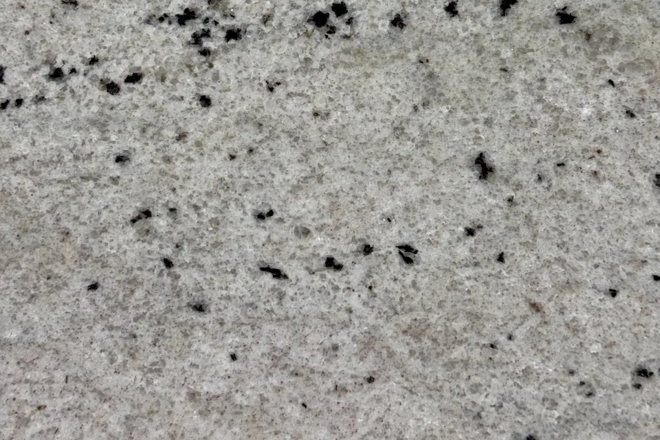 Pale gray granite with fine grain and scattered black dots in loose horizontal rows