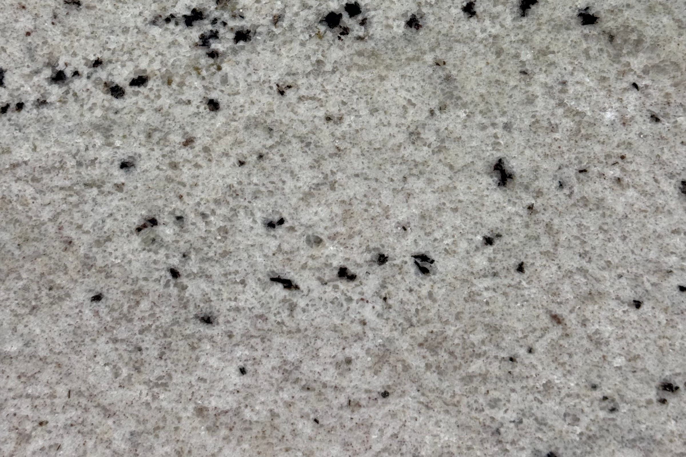 Pale gray granite with fine grain and scattered black dots in loose horizontal rows