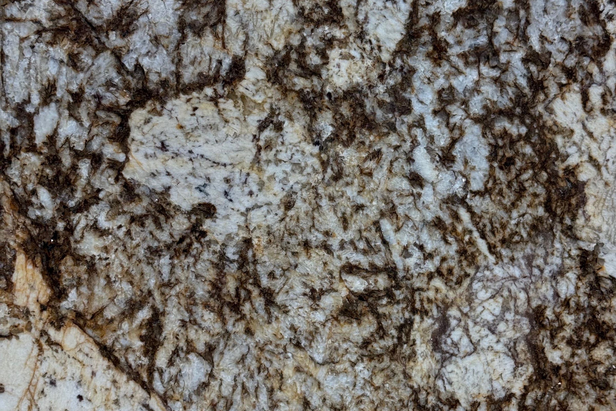 Pale blue-gray granite with cream patches and dark brown branching veining across the whole frame