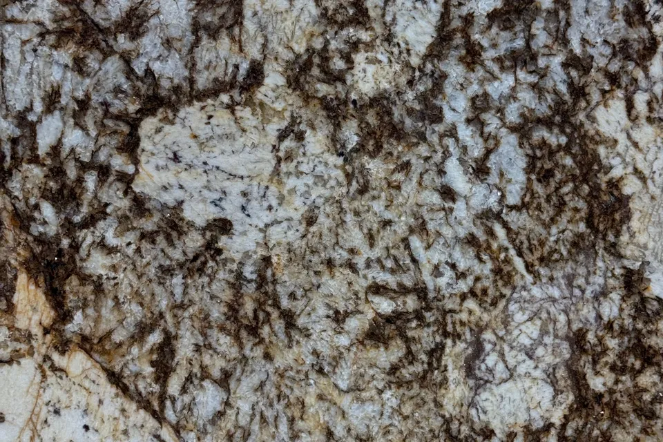 Pale blue-gray granite with cream patches and dark brown branching veining across the whole frame