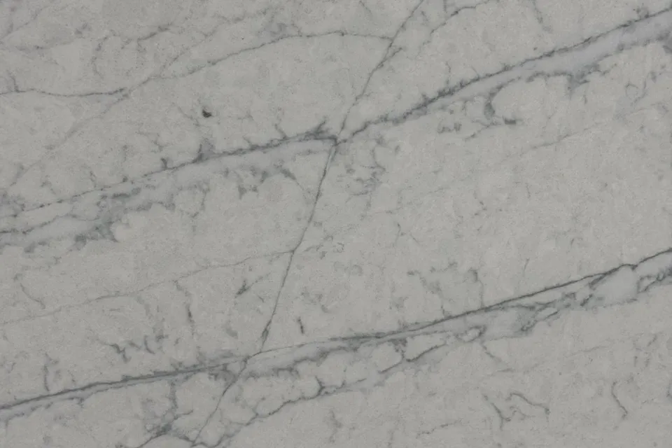Light gray slab with fine speckle and thin darker gray veins running diagonally, matte surface