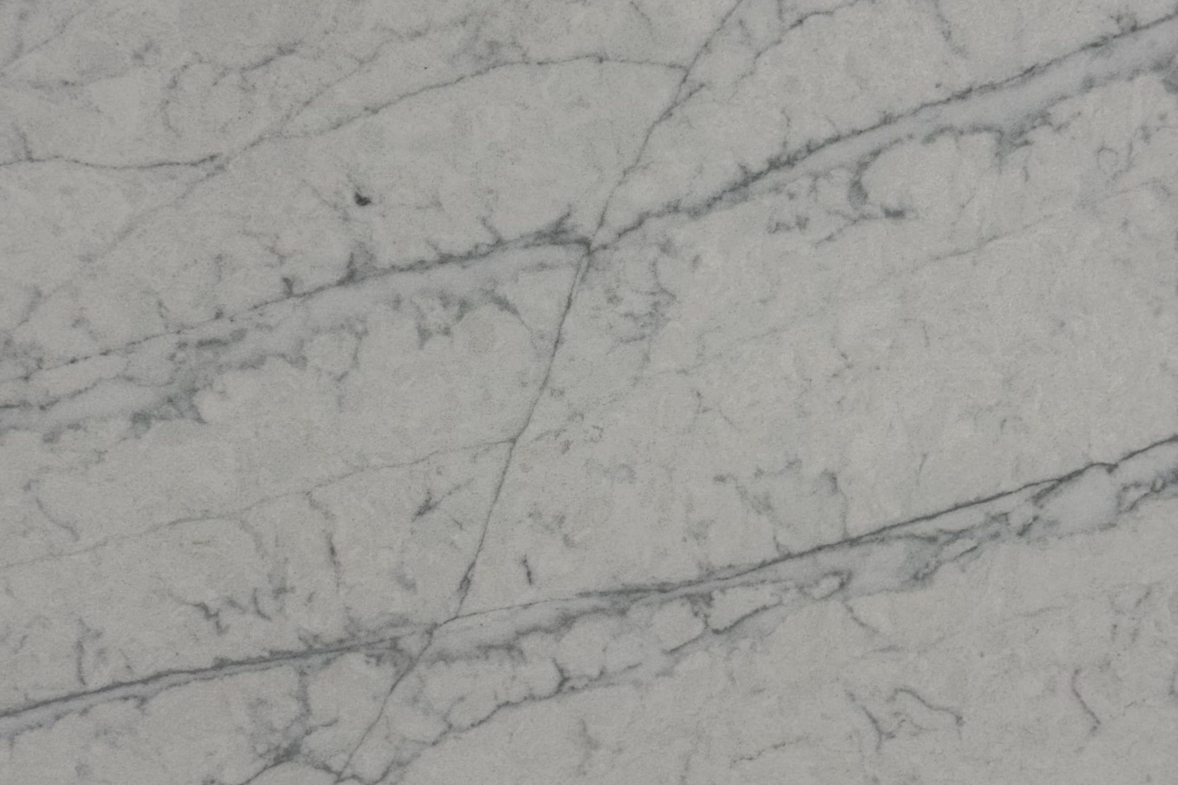 Light gray slab with fine speckle and thin darker gray veins running diagonally, matte surface