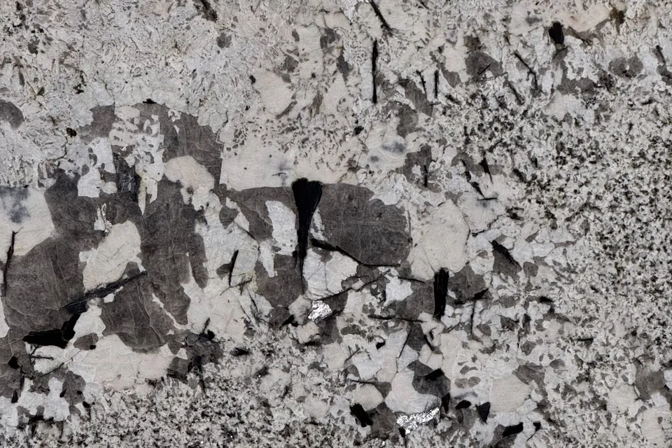 White and light gray granite with large black crystals and clusters of dark minerals