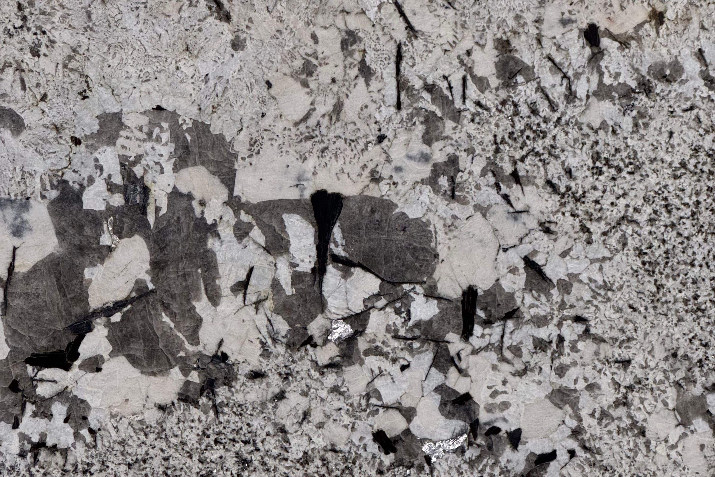 White and light gray granite with large black crystals and clusters of dark minerals